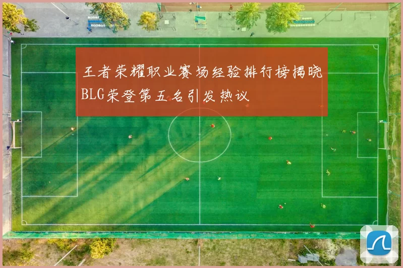 王者荣耀职业赛场经验排行榜揭晓BLG荣登第五名引发热议