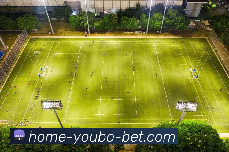 多媒体互动体验