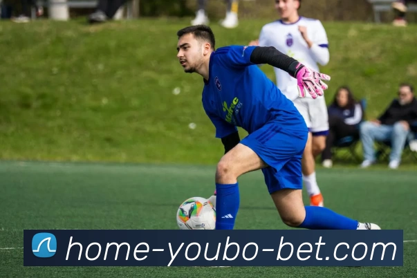 YB友博APP 体育赛事宣传图